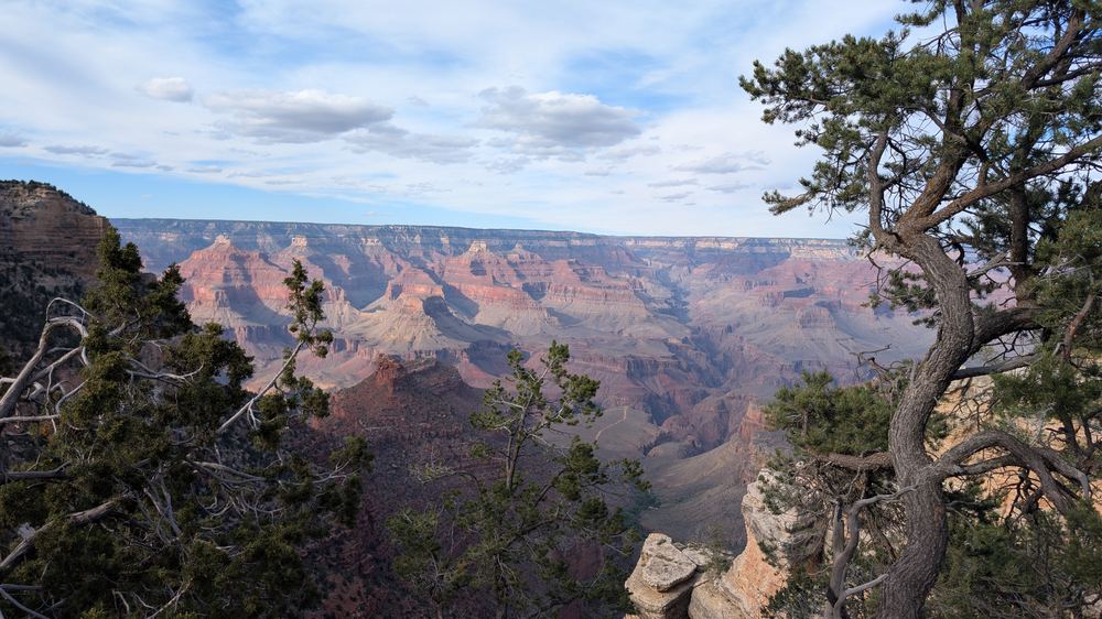 Canyon through trees