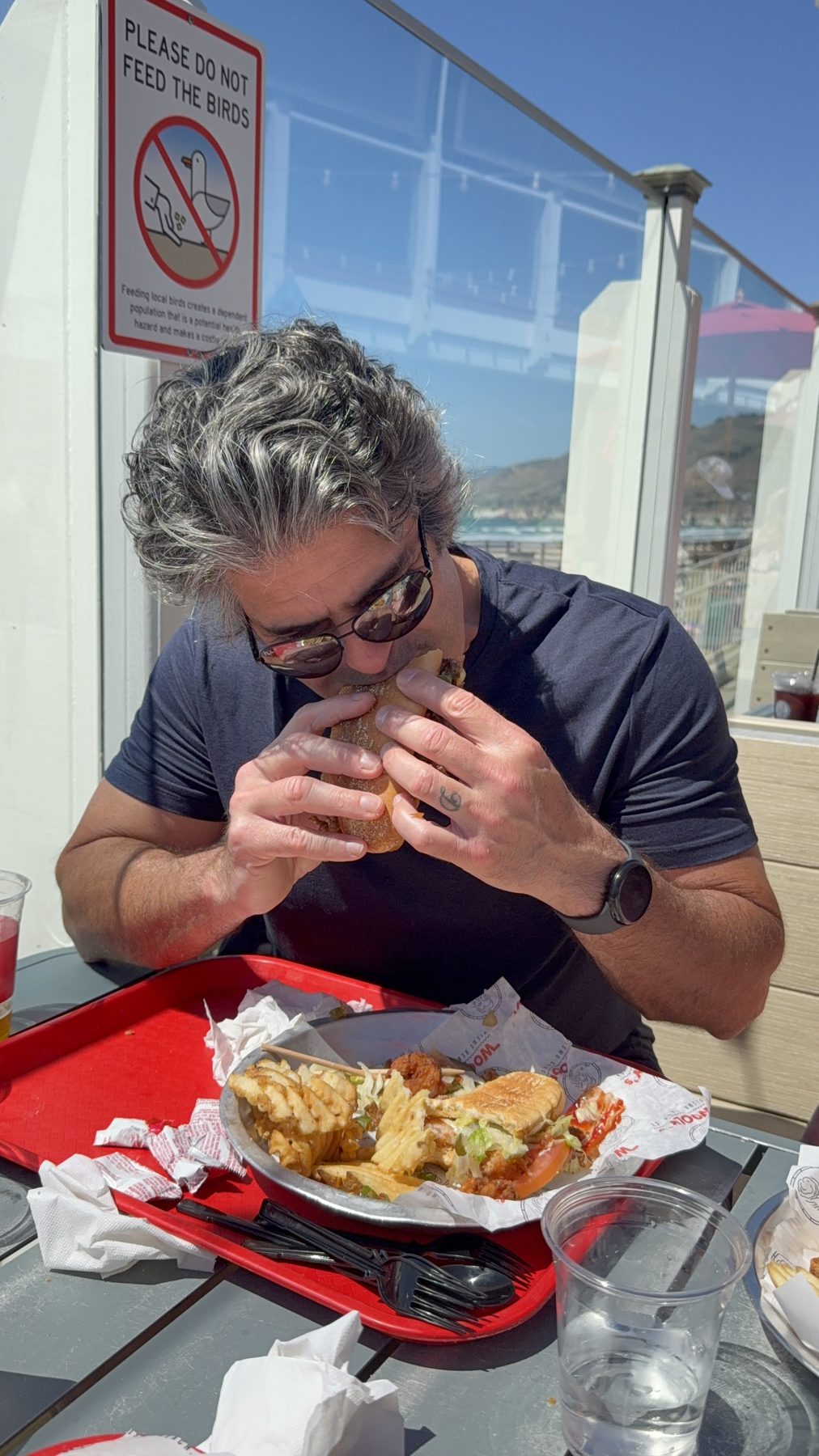 Jay fully committed to a pier burger — Please Do Not Feed the Birds sign above