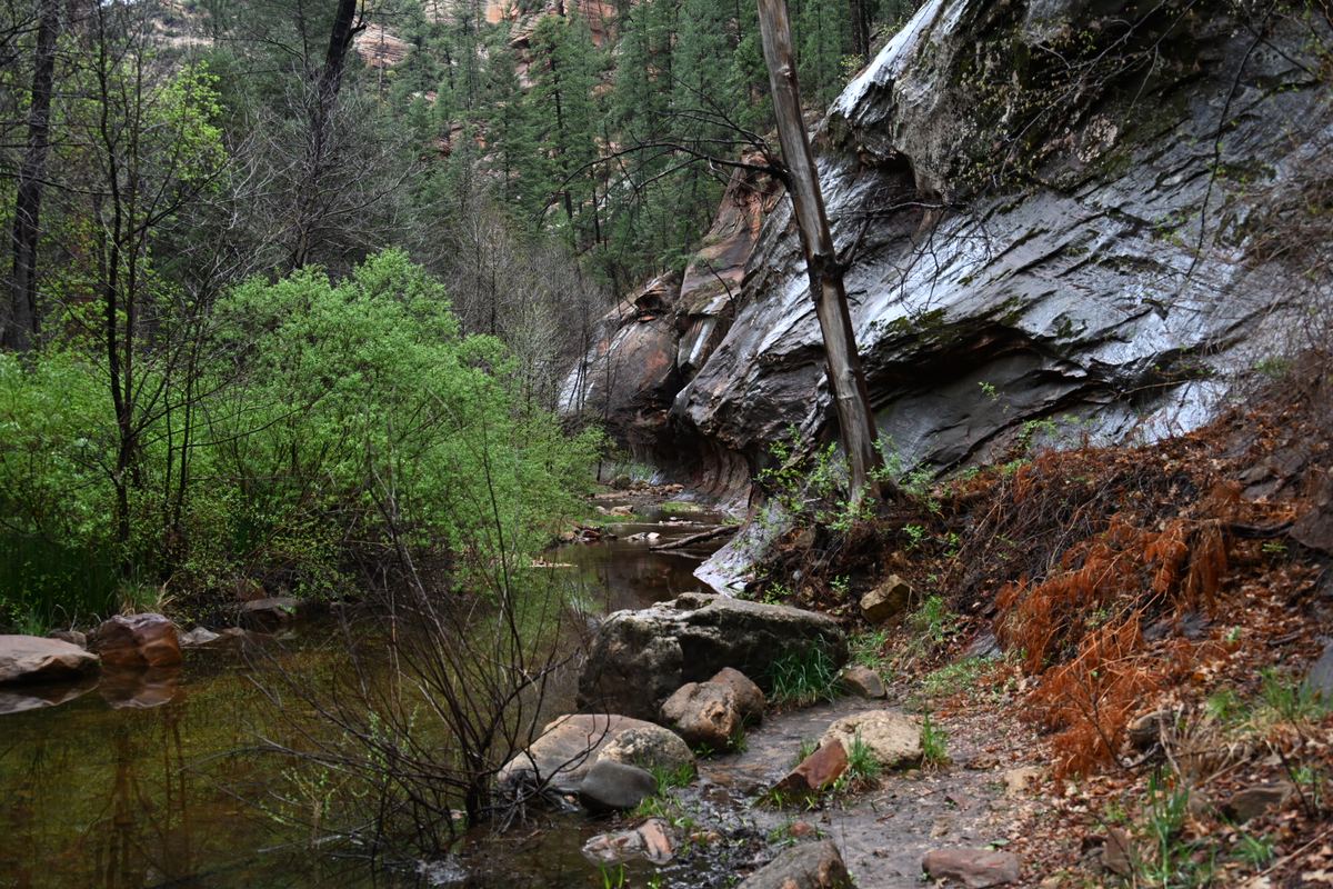 West Fork Oak Creek Canyon creek