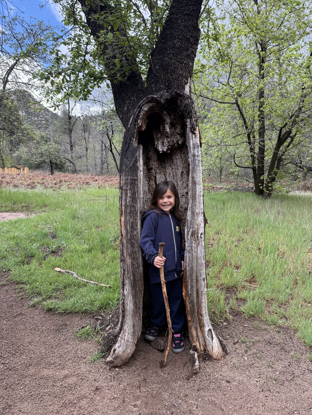 Kid in hollow tree