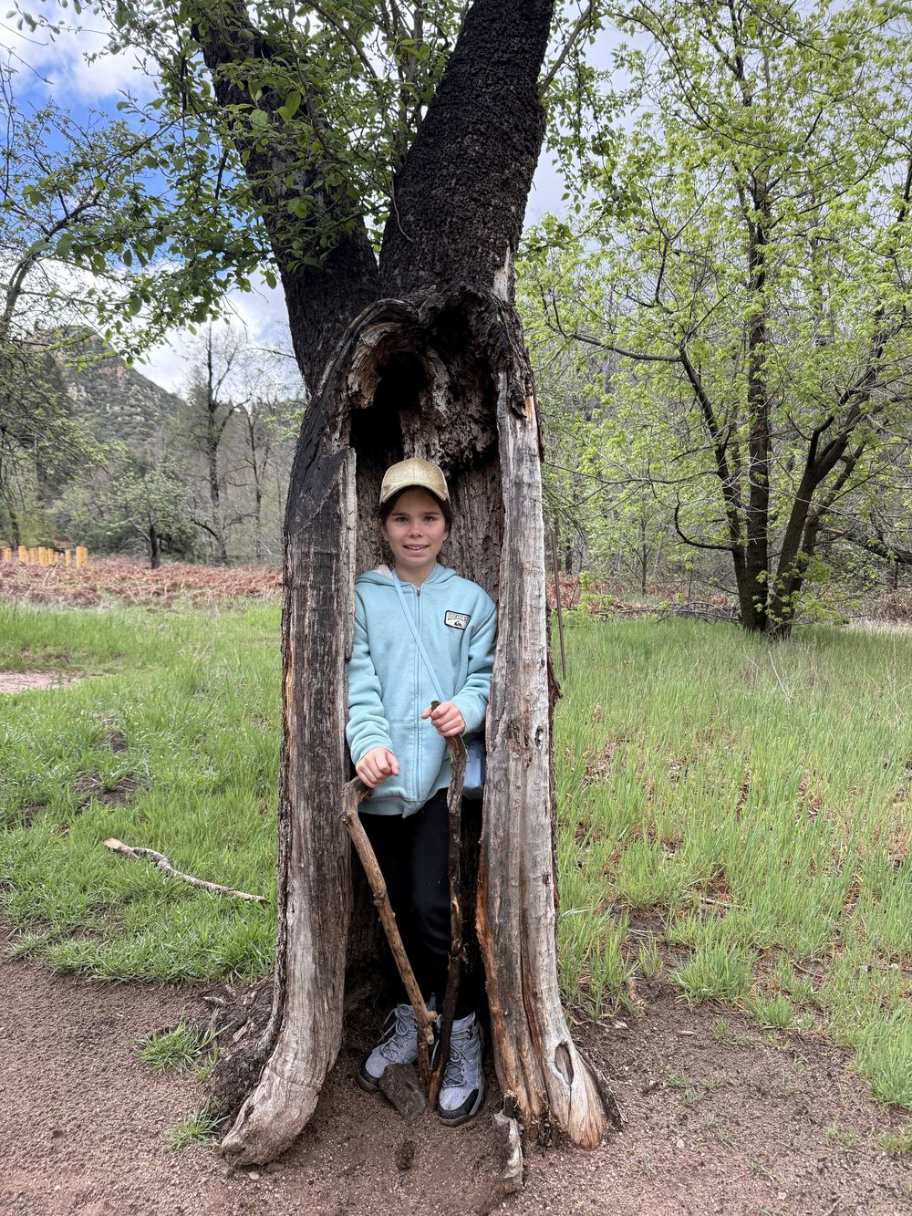 Kid in hollow tree 2