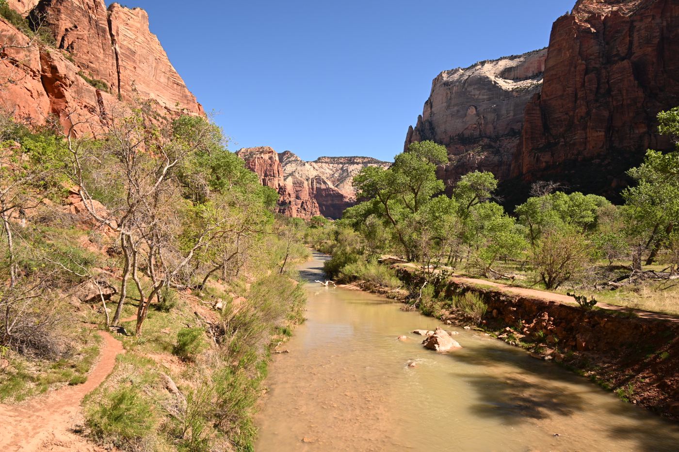 Virgin River flowing through Zion canyon