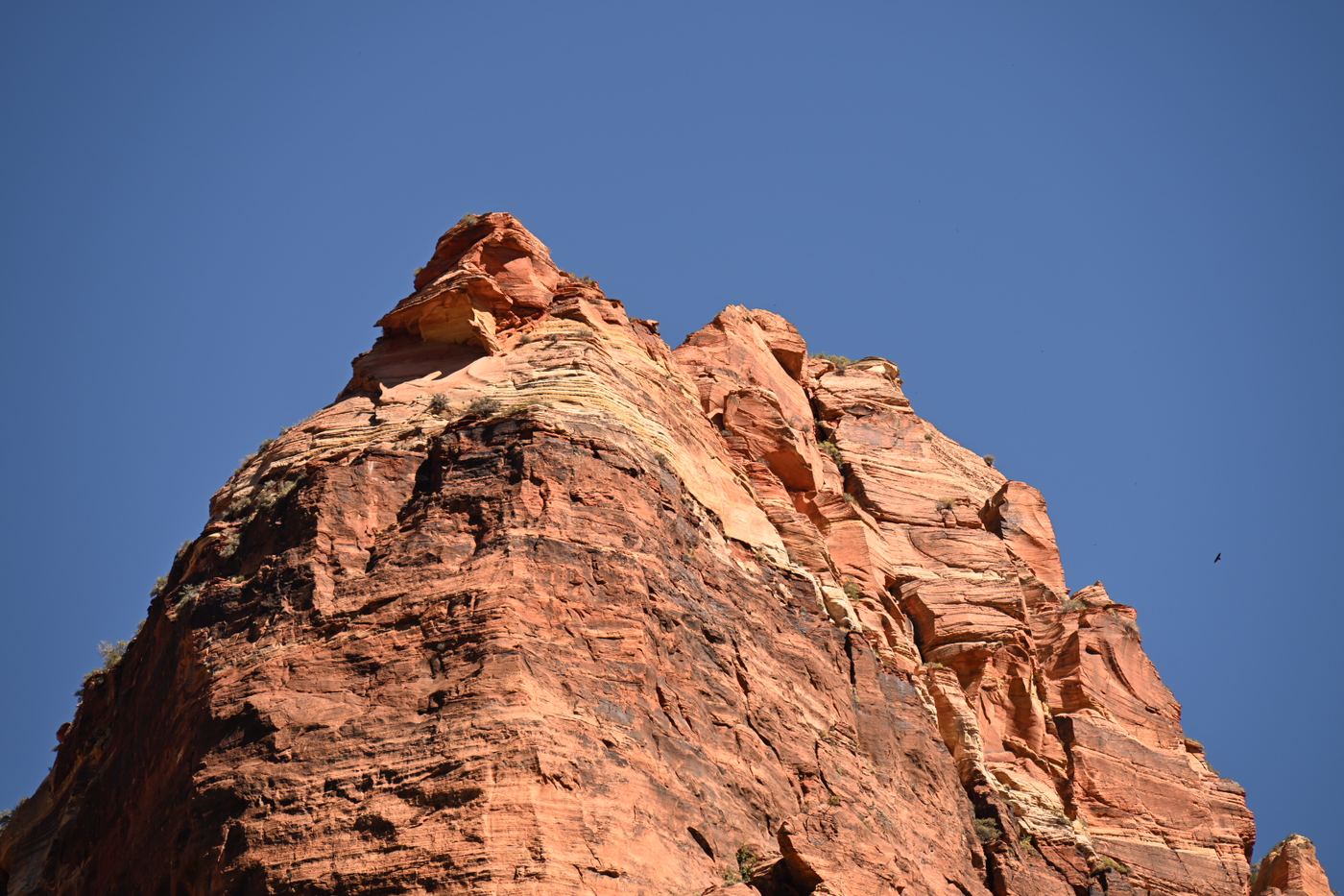 Red canyon wall looking straight up