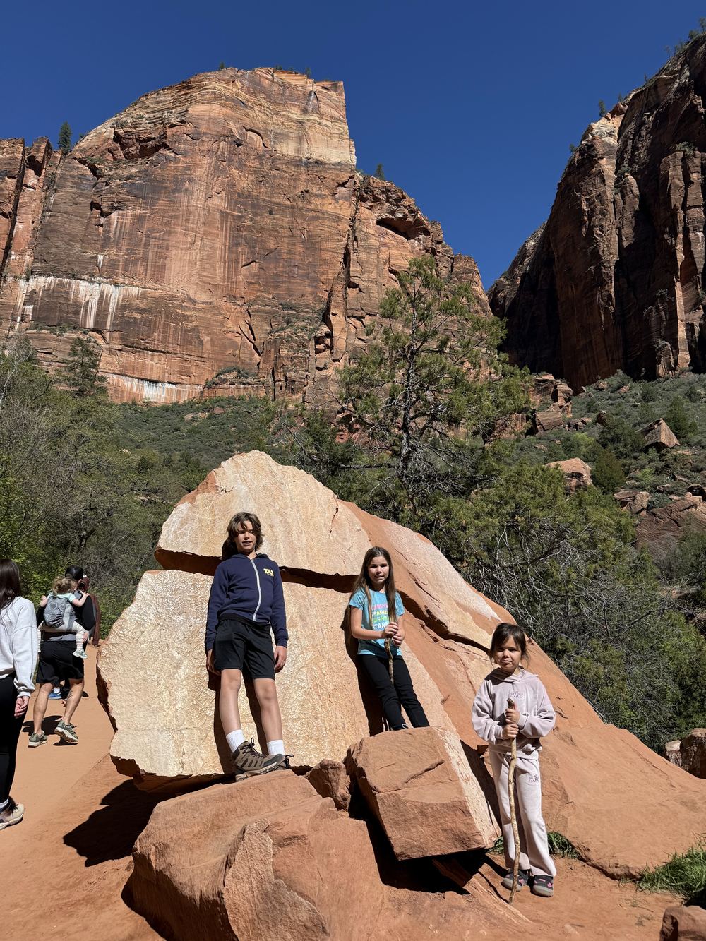 Three kids on boulders with canyon behind