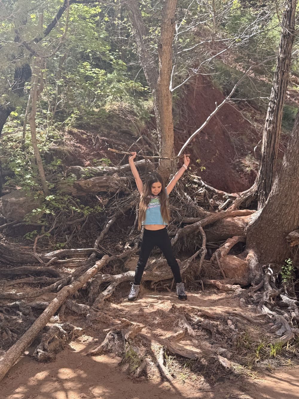 Perrisi warrior pose with hiking stick