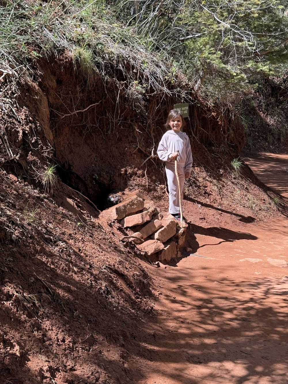 Capri on the red trail with hiking stick