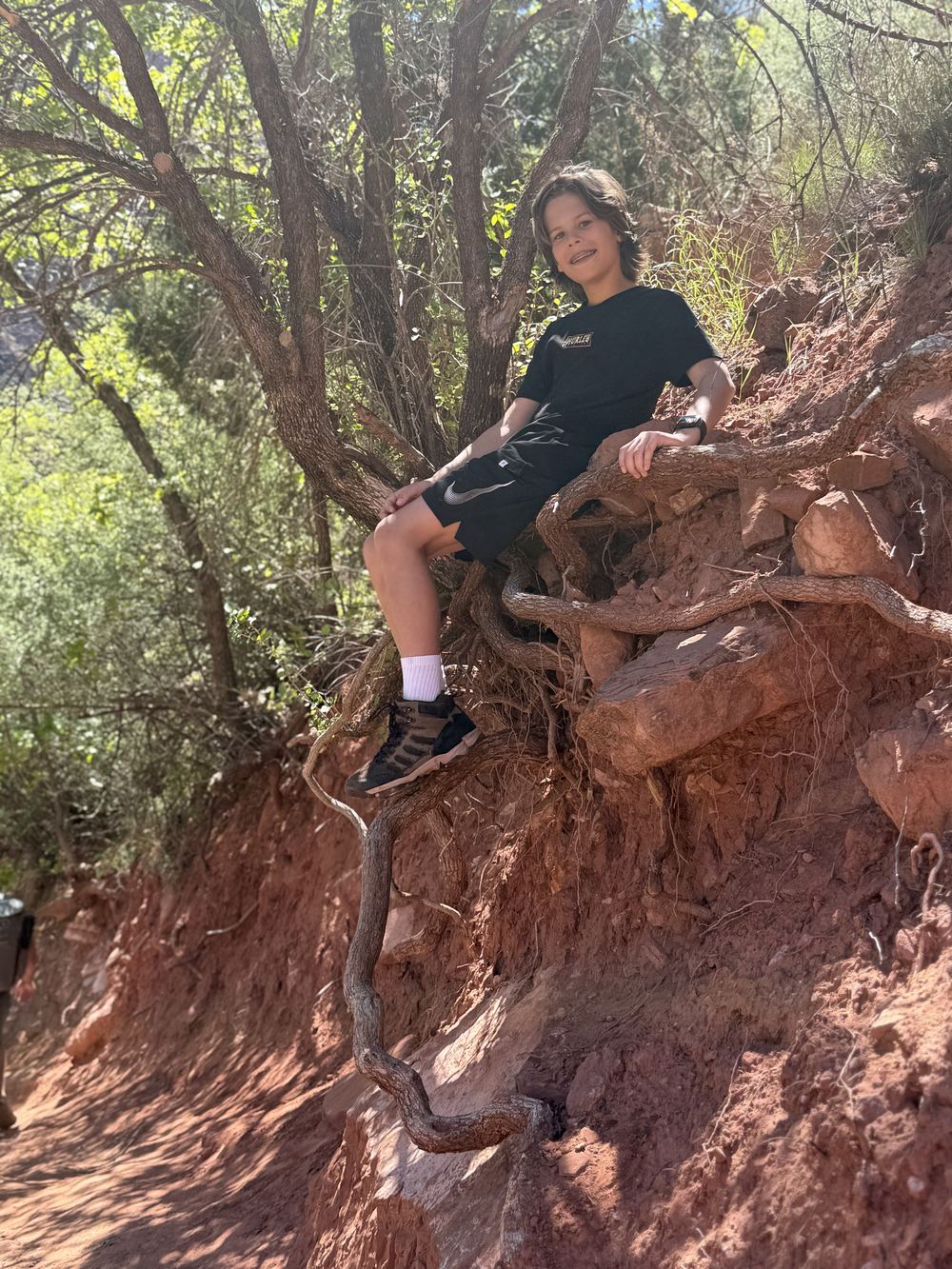 Son perched in twisted tree roots